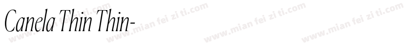 Canela Thin Thin字体转换